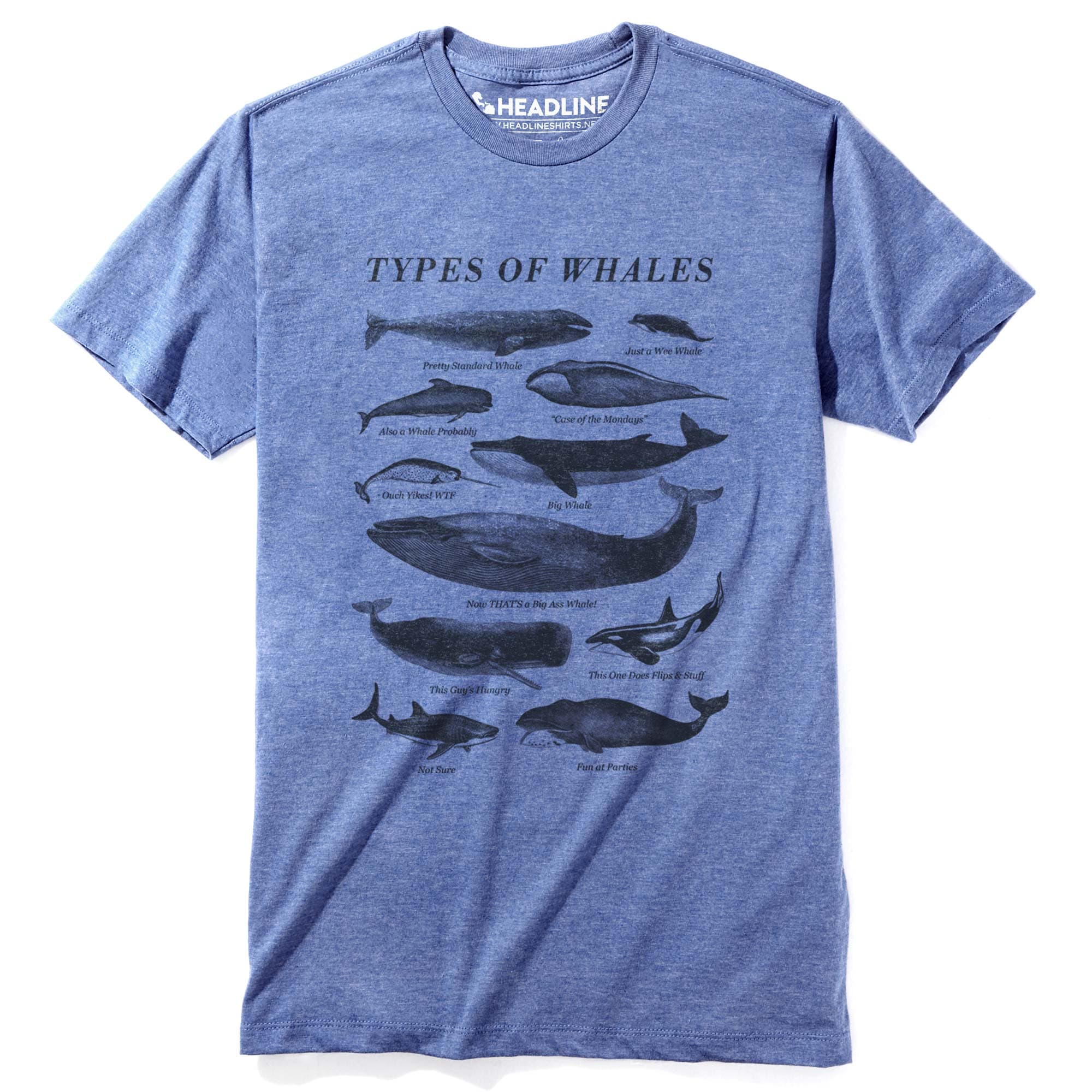 Men's Types Of Whales Funny Marine Life Graphic T-Shirt | Vintage Chart Nature Tee | Solid Threads