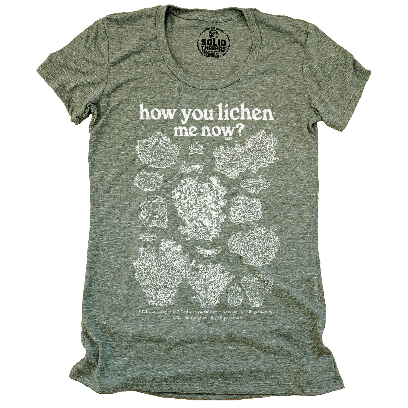 Women's How You Lichen Me Now Retro Graphic Tee | Funny Botany Triblend T-Shirt | SOLID THREADS